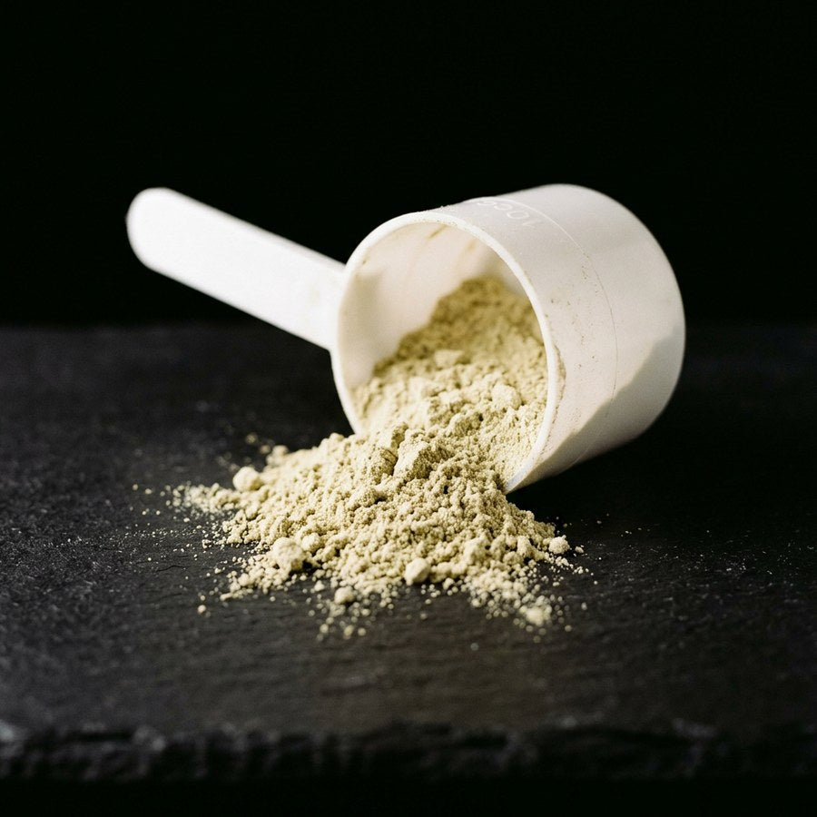 A scoop of supplement powder